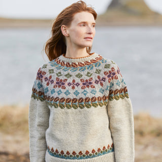 Seahouses Sweater kit